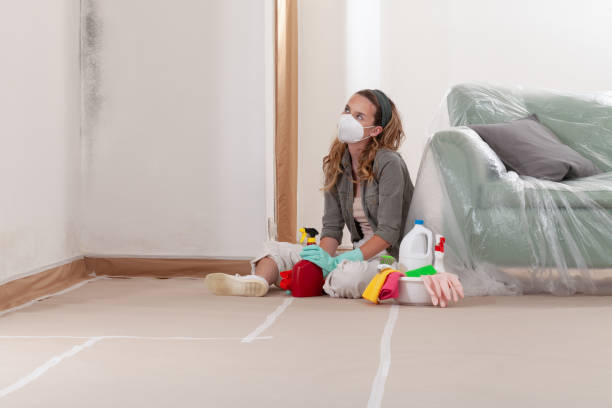 Reliable Black Mold Remediation contractor in Plainview, TX by Car Mold Remediation